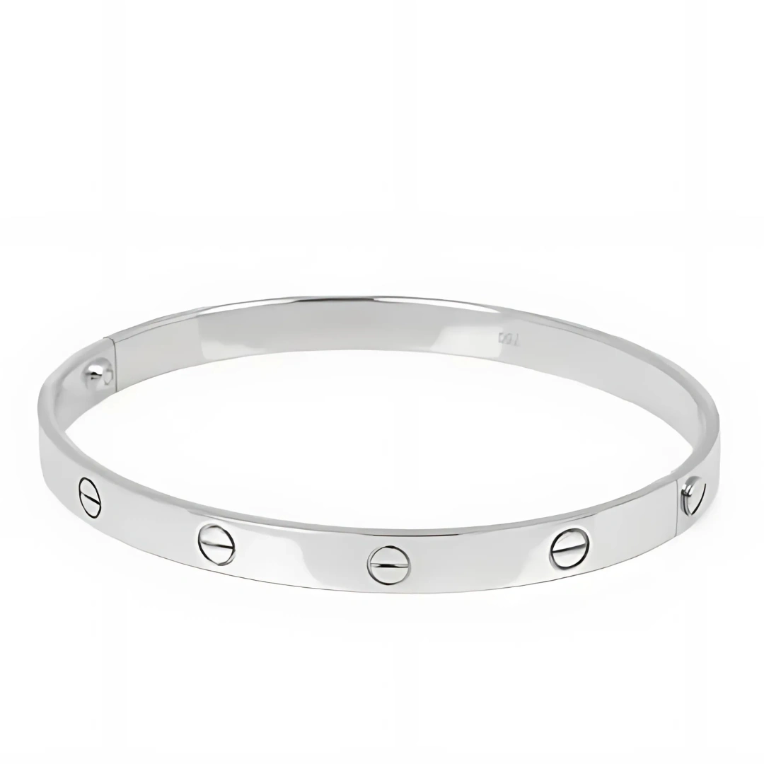 إسوارة كارتيير ستانلس ستيل بلونين